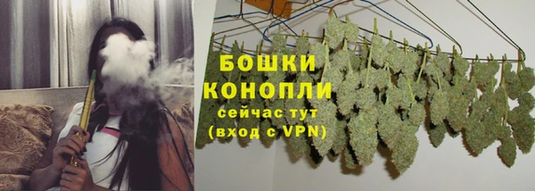 ECSTASY Лиски